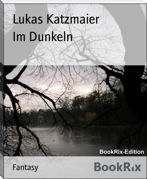 cover Im Dunkeln.php.png